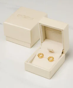Gift Packaged 'Cezanne' 18ct Yellow Gold plated 925 Silver with Cubic Zirconia Circle Earrings